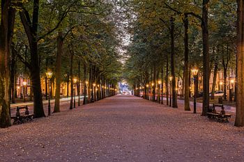 Lange Voorhout, Den Haag in der blauen Stunde. 