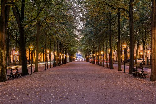 Het Lange Voorhout, Den Haag in het blauwe uur.