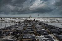 La mer du nord