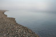 Misty morning Zeeland van Sonny Vermeer thumbnail