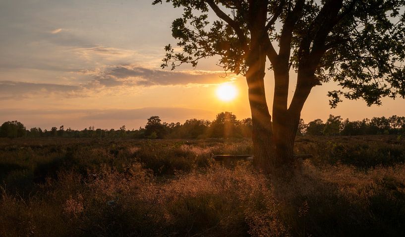 Zonsondergang op de Ermelose heide van Peter Bartelings