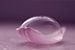 Fragile ( Een creatieve foto van een zeepbel op een tulpenblad) van Birgitte Bergman