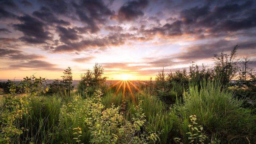 Zonsondergang in de Harz van Steffen Henze