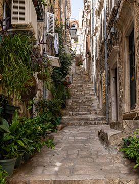 Street in Dubrovnik by Daan Kloeg