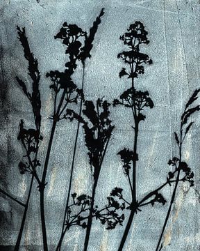 Sogni di fiori.  Retro bloemen, planten en grassen in lichtgrijs blauw en zwart van Dina Dankers