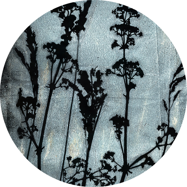 Sogni di fiori.  Retro bloemen, planten en grassen in lichtgrijs blauw en zwart van Dina Dankers