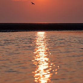 Strand Noordwijk bei Sonnenuntergang von Yanuschka Fotografie | Noordwijk
