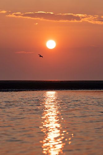 Strand Noordwijk