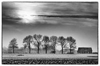 Winter in de Hoeksche Waard 2