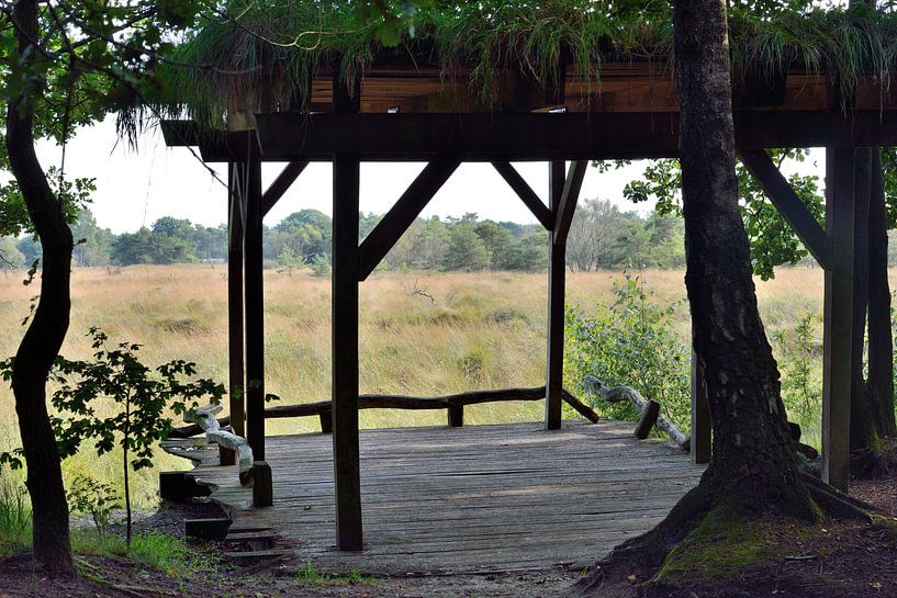 doorkijkje over buurserzand by Petra De Jonge