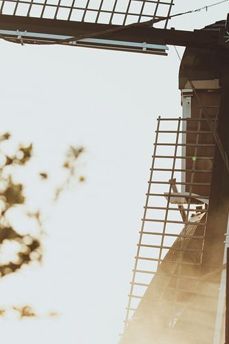 Sunlight breaks through the morning mist behind the windmill in the frozen polder landscape