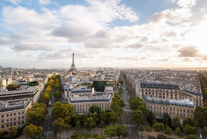 France, beautiful panoramic view of Paris and the Eiffel tower in the evening light by Michel Geluk