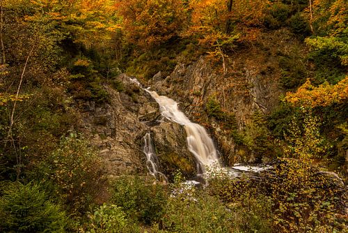 Cascade de Bayehon en Automme