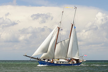 Schoener Stortemelk