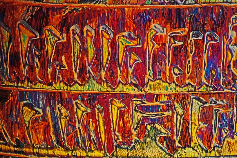 Cholesterol van André Wieringa