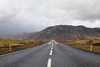 Road Trip