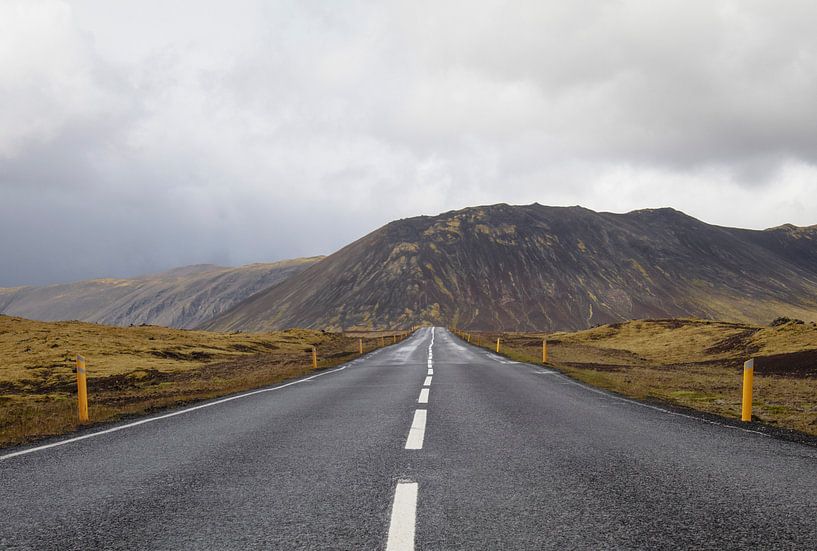 Road Trip by iris hensen