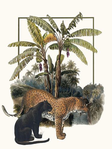 a Jungle Scenario