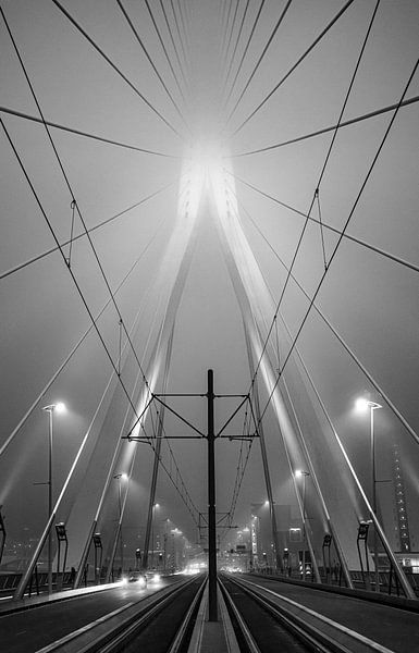 Linien auf der Erasmusbrücke in Rotterdam in Schwarz und Weiß von Mike Bot PhotographS