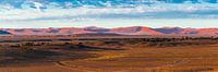 De duinen van de Sossusvlei in de verte, Namibië van Rietje Bulthuis thumbnail