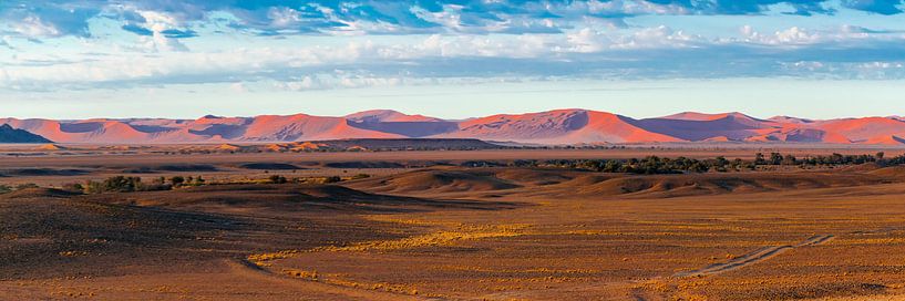 De duinen van de Sossusvlei in de verte, Namibië van Rietje Bulthuis