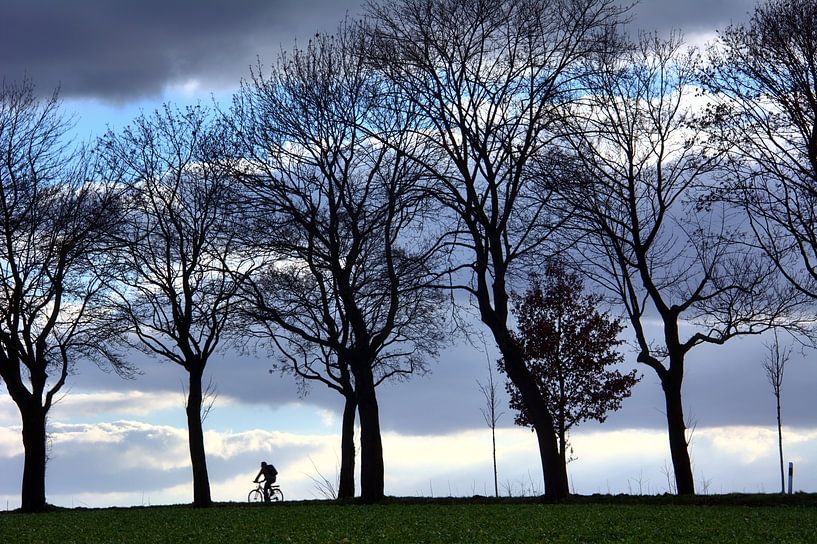 Fietsers van Edgar Schermaul