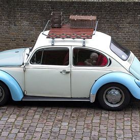 Volkswagen Kever van Henk Egbertzen