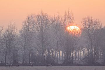 Winter morning in the Polder of Dussen by Zwoele Plaatjes