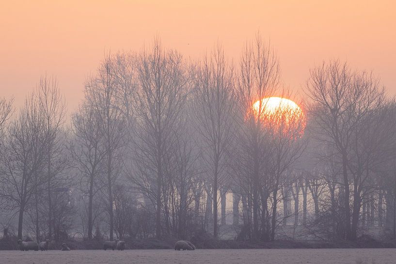 Wintermorgen im Polder von Dussen von Zwoele Plaatjes