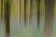 Haller forest abstract von Menno Schaefer Miniaturansicht