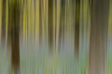 Haller forest abstract sur Menno Schaefer