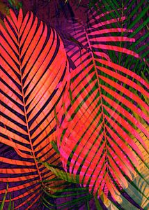 COLORFUL TROPICAL LEAVES no2  von Pia Schneider