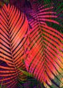 COLORFUL TROPICAL LEAVES no2  van Pia Schneider thumbnail