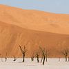 Deadvlei || Namibië, Sossusvlei van Suzanne Spijkers