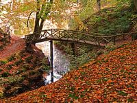 Bridge at Elswout