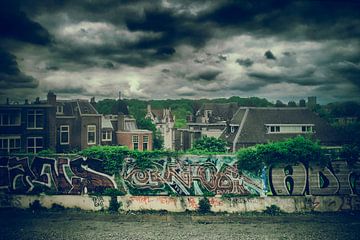 Intrigerend Tafereel van Arnhem vanuit een Rijdende Trein: Graffiti, Klimop en Dreigende Wolken van Elianne van Turennout