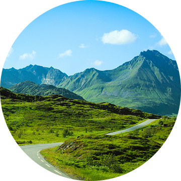 Weg richting de bergen in Lofoten, Noorwegen. van Sara de Leede