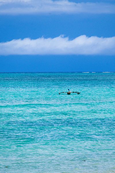 Tropical Zanzibar by Lisette van Leeuwen
