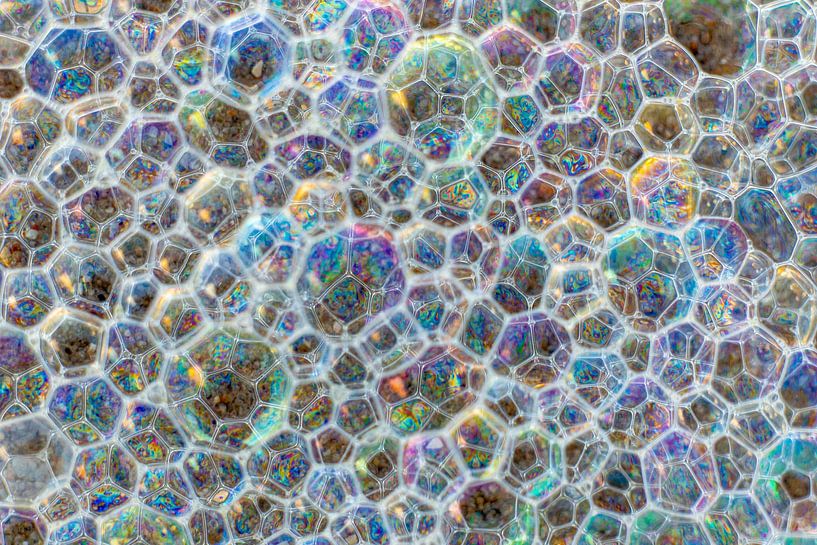 Écume de mer colorée, macro par Yanuschka | Fotografie Noordwijk