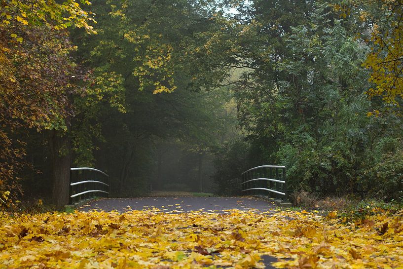 Across the bridge... by Ina Muntinga