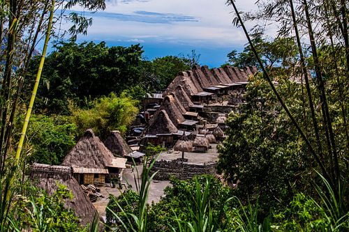 Traditioneel dorp Bena, traditional village Asia