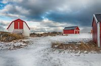  Red houses in the snow