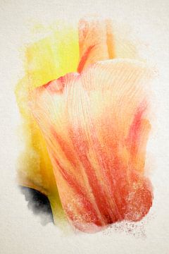 Two tulips in intimate embrace, captured in watercolour by Youri Mahieu