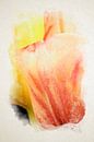 Twee tulpen in intieme omhelzing, gevangen in aquarel van Youri Mahieu thumbnail