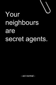 Your neighbours are secret agents van AJ Publications