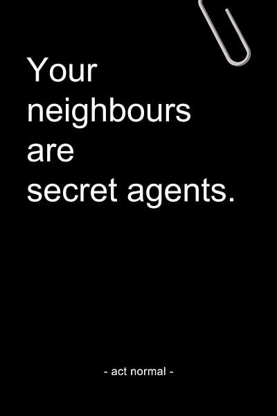 Your neighbours are secret agents van AJ Publications