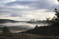Duinen in de mist