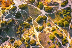 Von Wanderwegen durchzogene Vegetation an der Küste der Algarve