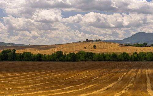 Boerderij op de heuvel - Toscane - Italie