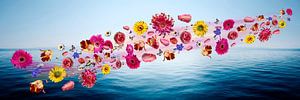 Unendliche Liebe V2 Panorama Blumen Meer